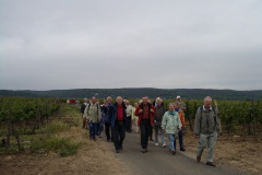 Wein, Wandern und Kultur
