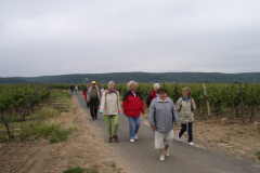 Wein, Wandern und Kultur