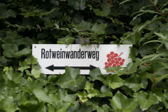 Bad-Hoenningen-2005_1656