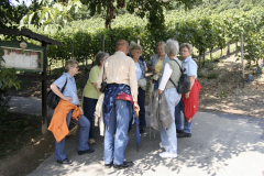 Bad-Hoenningen-2005_1661