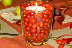 Frankfurter-Abend-2010_5004