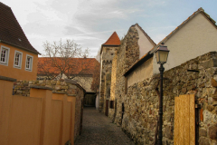 Freinsheim-2011_6024