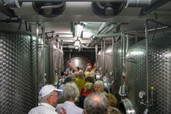 Kultur-Wein-Wandern-2011_7924