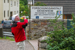 Kultur-Wein-Wandern-2011_7956