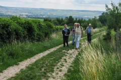 Kultur-Wein-Wandern-2011_7958
