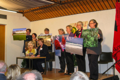 Bezirkstag-2012_1088