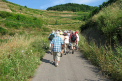 Kaiserstuhl-2013_2_2262