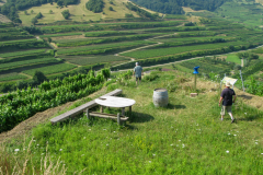 Kaiserstuhl-2013_2_2269