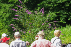 Kaiserstuhl-2013_2_2272