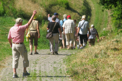 Kaiserstuhl-2013_2_2282