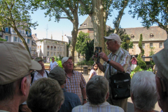 Kaiserstuhl-2013_3_2315