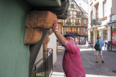 Kaiserstuhl-2013_3_2343