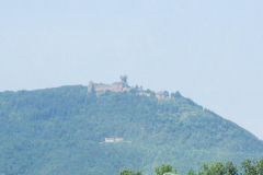 Kaiserstuhl-2013_3_2383