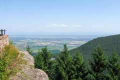 Kaiserstuhl-2013_3_2385