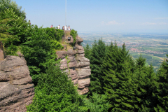 Kaiserstuhl-2013_3_2402