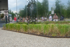 Kaiserstuhl-2013_4_2481