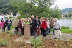 201509_Jahresausflug-Traben-Trarbach_8302