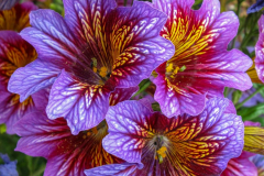 2015_Kultur-Wein-Wandern_0779-1