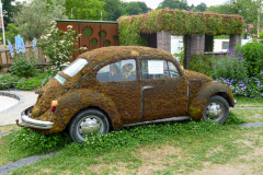 2015_Kultur-Wein-Wandern_1020940