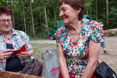 2015_Waldfest_4147