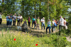2017-0050-Piemont