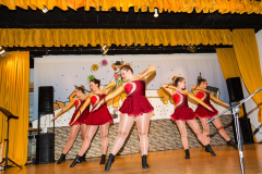 2019_Fastnacht_203326-1