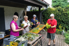 Kraeuterweihe-2020_3588