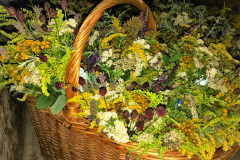 Kraeuterweihe-2020_3626