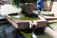 2022_Jahresausflug_SAM_4960