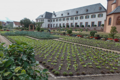 2022_Jahresausflug_SAM_4961