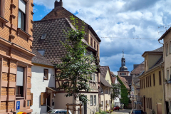 20240713-Kultur-Wandern-Wein_144603