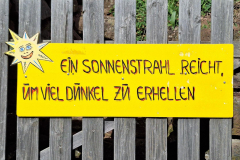 20240713-Kultur-Wandern-Wein_161919