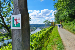 20240713-Kultur-Wandern-Wein_164019