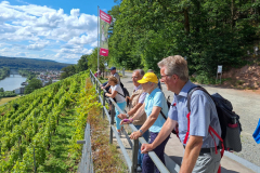 20240713-Kultur-Wandern-Wein_164449