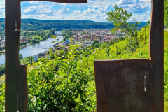 20240713-Kultur-Wandern-Wein_165245