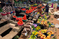 Ugandareise-2024-IMG_9939