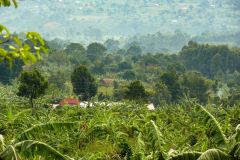 Ugandareise-2024-P1140516